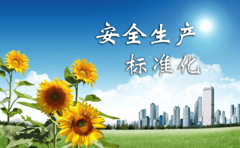 定边县应急协会：织密安全网，护航美好生活